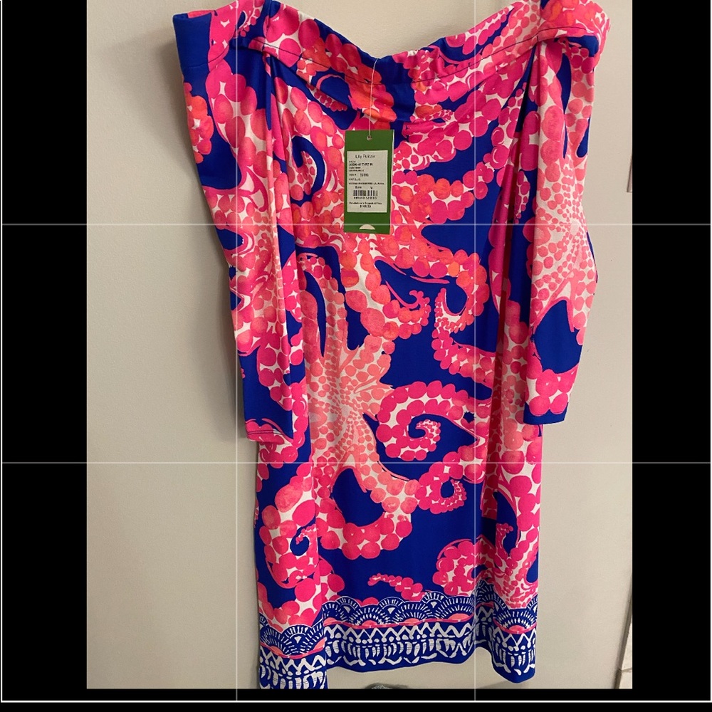 Brand new Lilly Pulitzer dress!  Stunning!